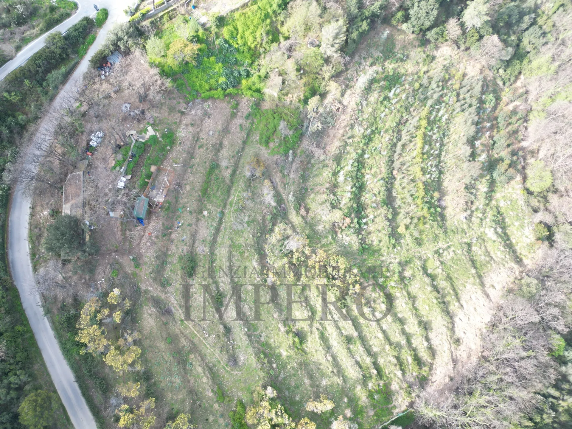 Immagine per Terreno Agricolo in vendita a Camporosso via Regione Magauda 36