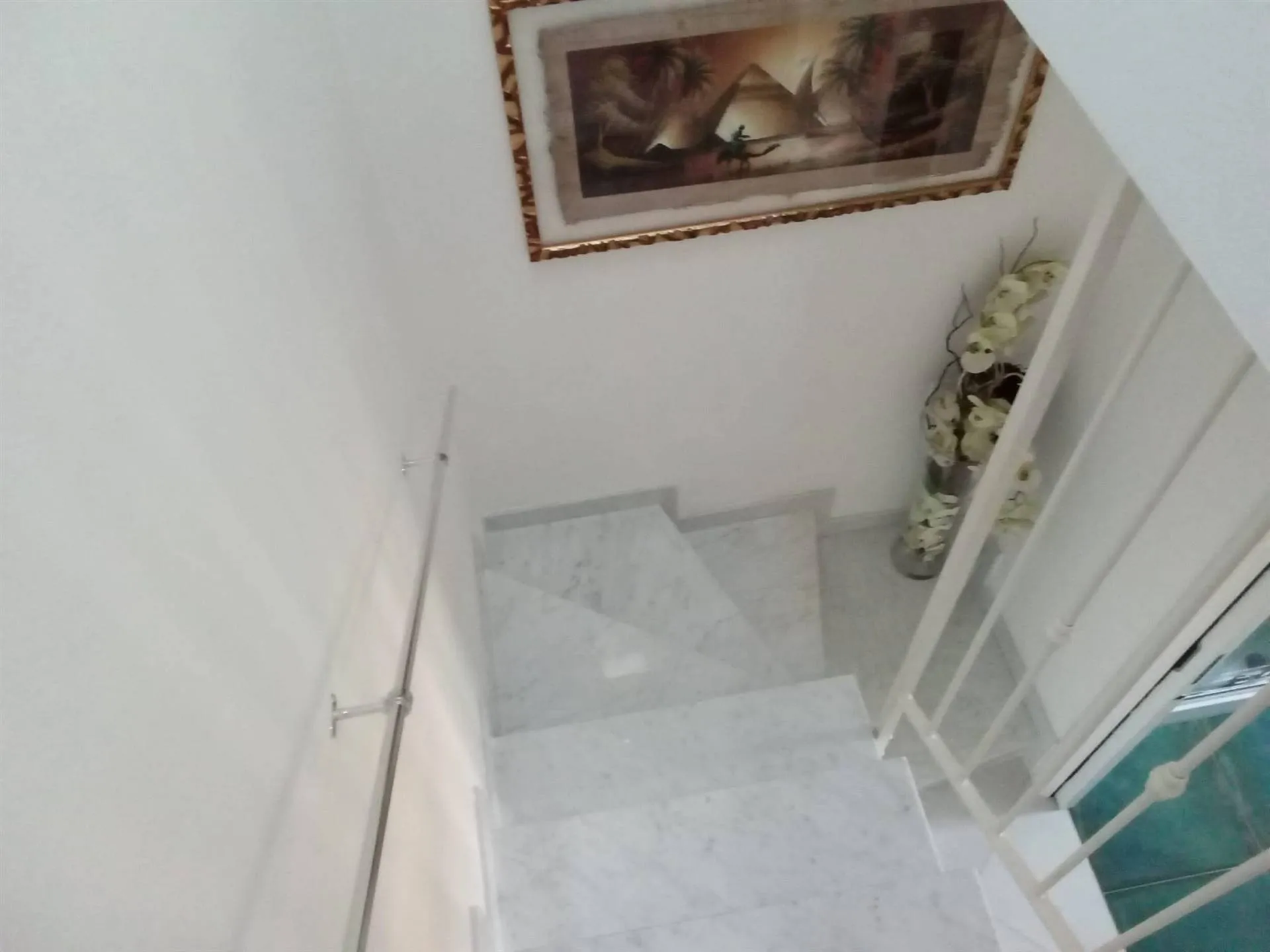 Immagine per Appartamento in vendita a Carrara viale Xx Settembre