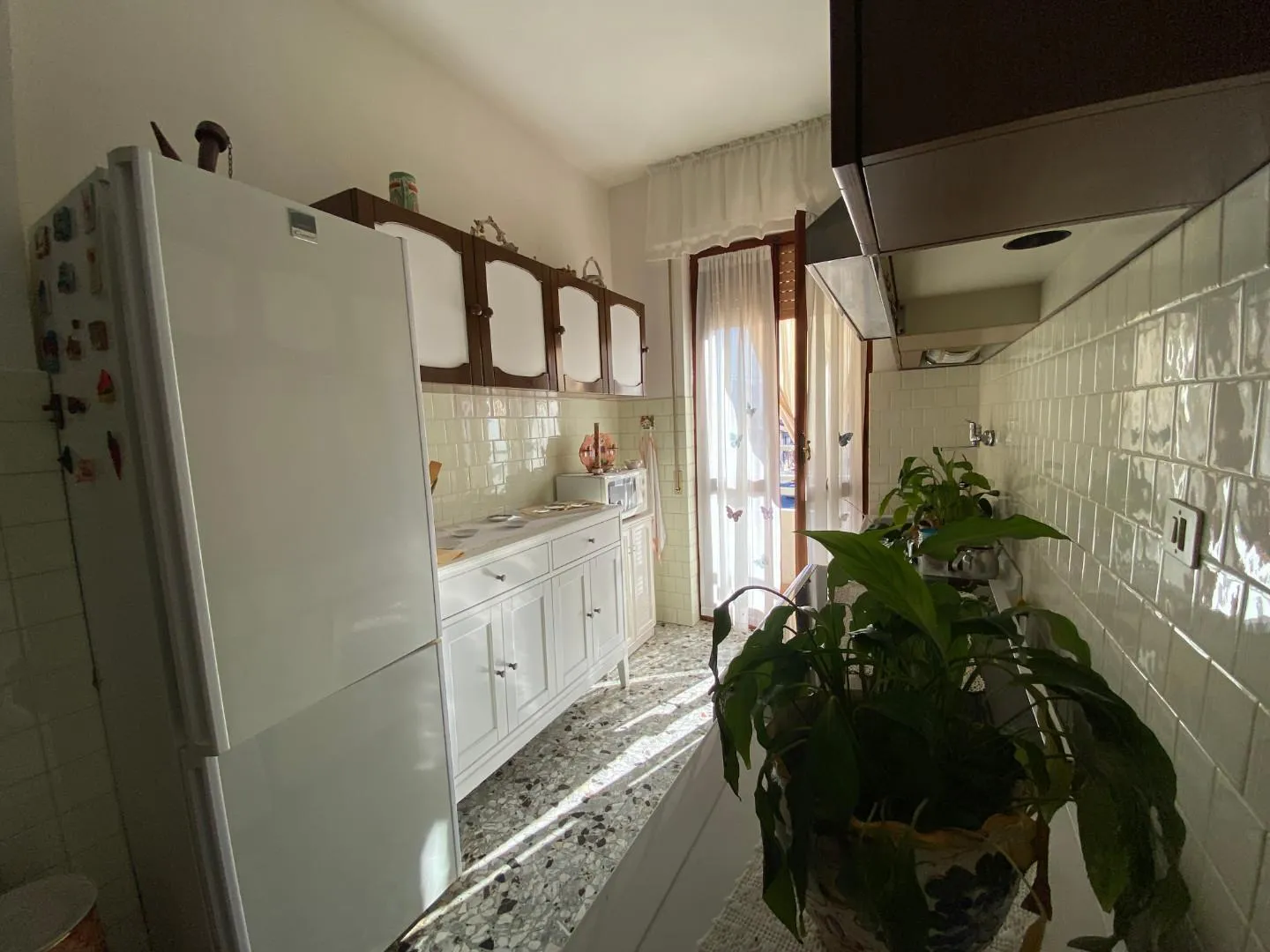 Immagine per Appartamento in vendita a Carrara viale Xx Settembre 300