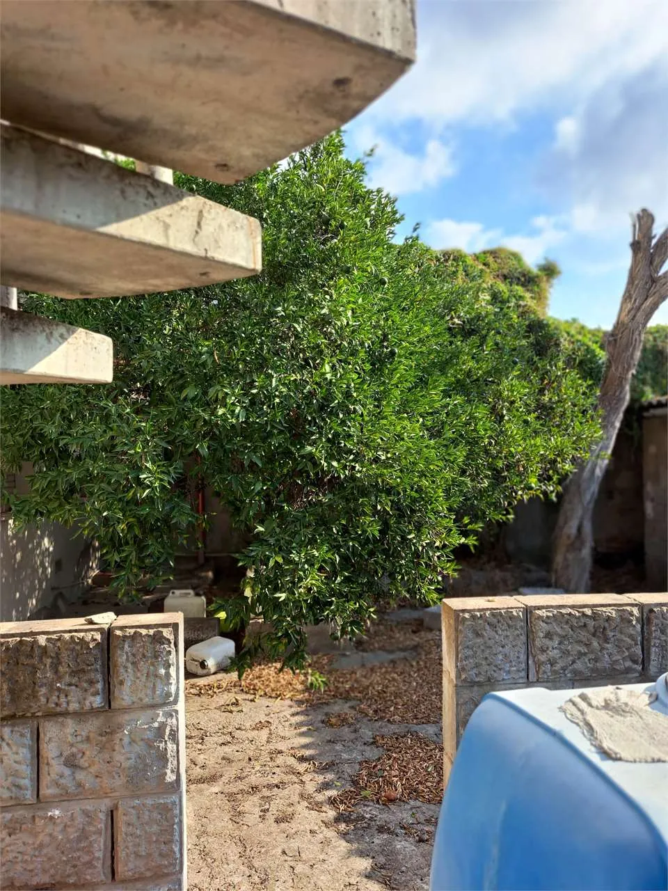 Immagine per Casa indipendente in vendita a San Giovanni Suergiu