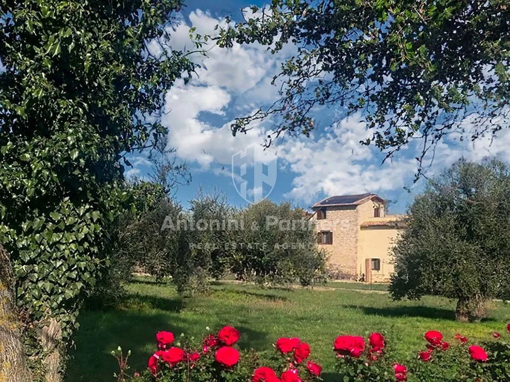 Immagine per Casale in vendita a Avigliano Umbro strada Provinciale 37