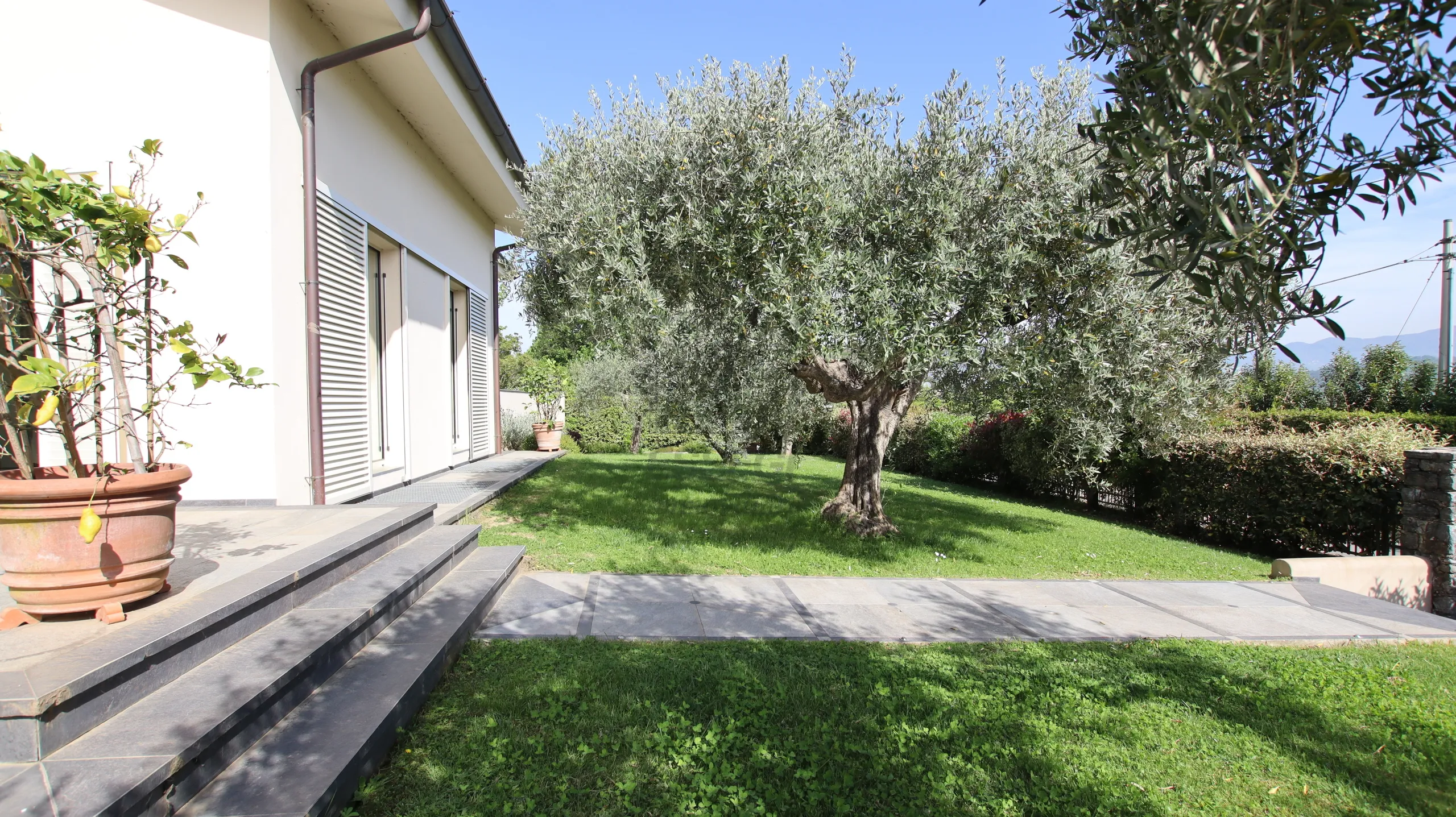 Immagine per Villa in vendita a Lucca via Dei Poveri Vecchi