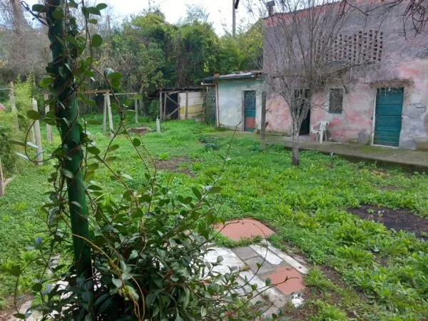 Immagine per Villa bifamiliare in vendita a Sarzana via 27 gennaio