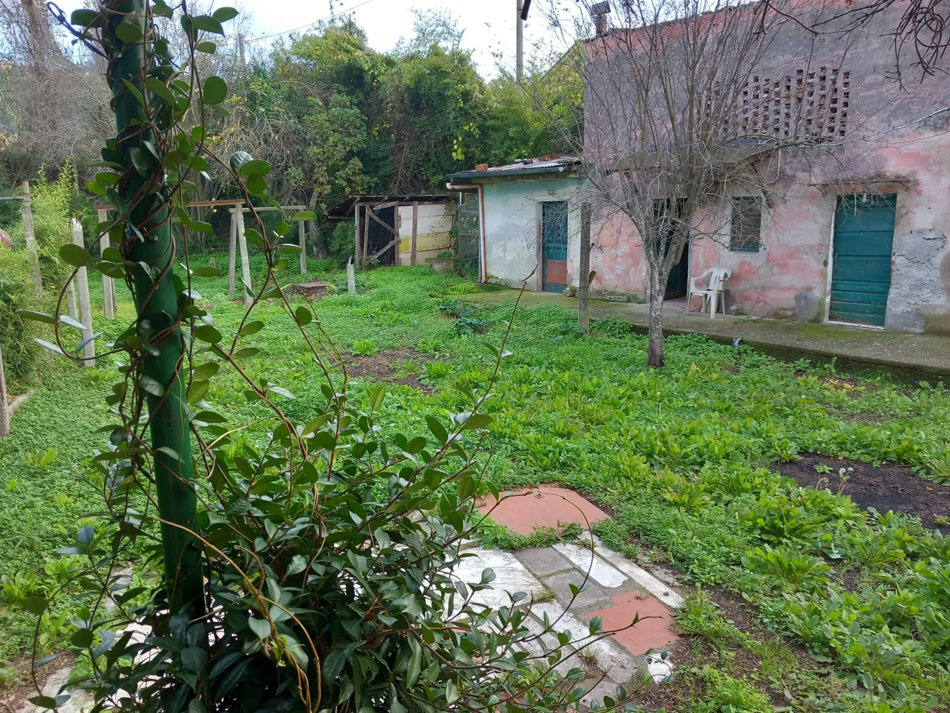 Immagine per Villa bifamiliare in vendita a Sarzana via 27 gennaio