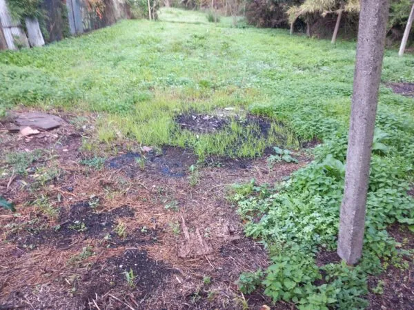 Immagine per Villa bifamiliare in vendita a Sarzana via 27 gennaio