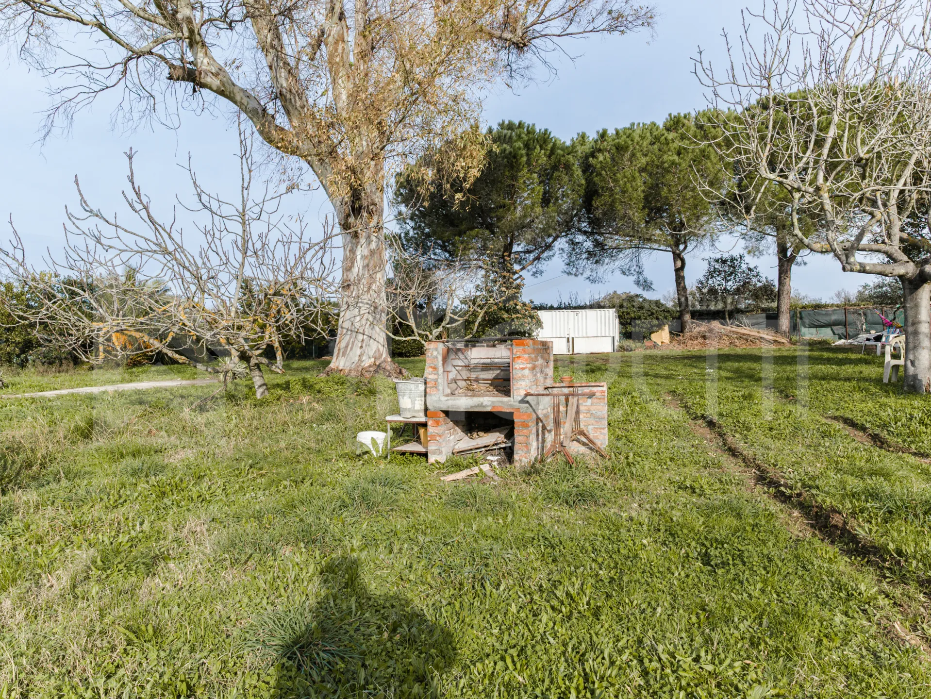 Immagine per Terreno Agricolo in vendita a Livorno via Delle Macchie