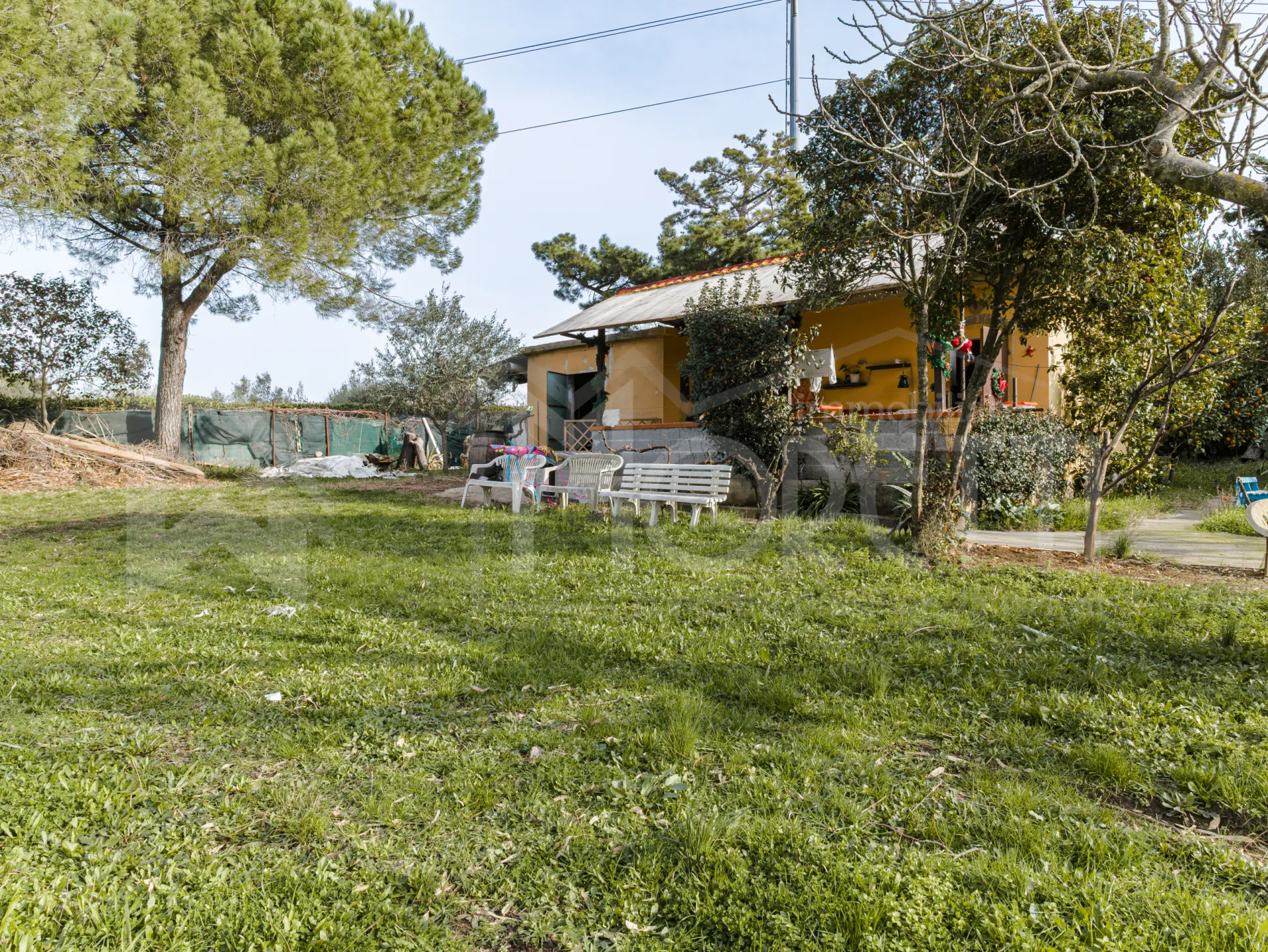 Immagine per Terreno Agricolo in vendita a Livorno via Delle Macchie