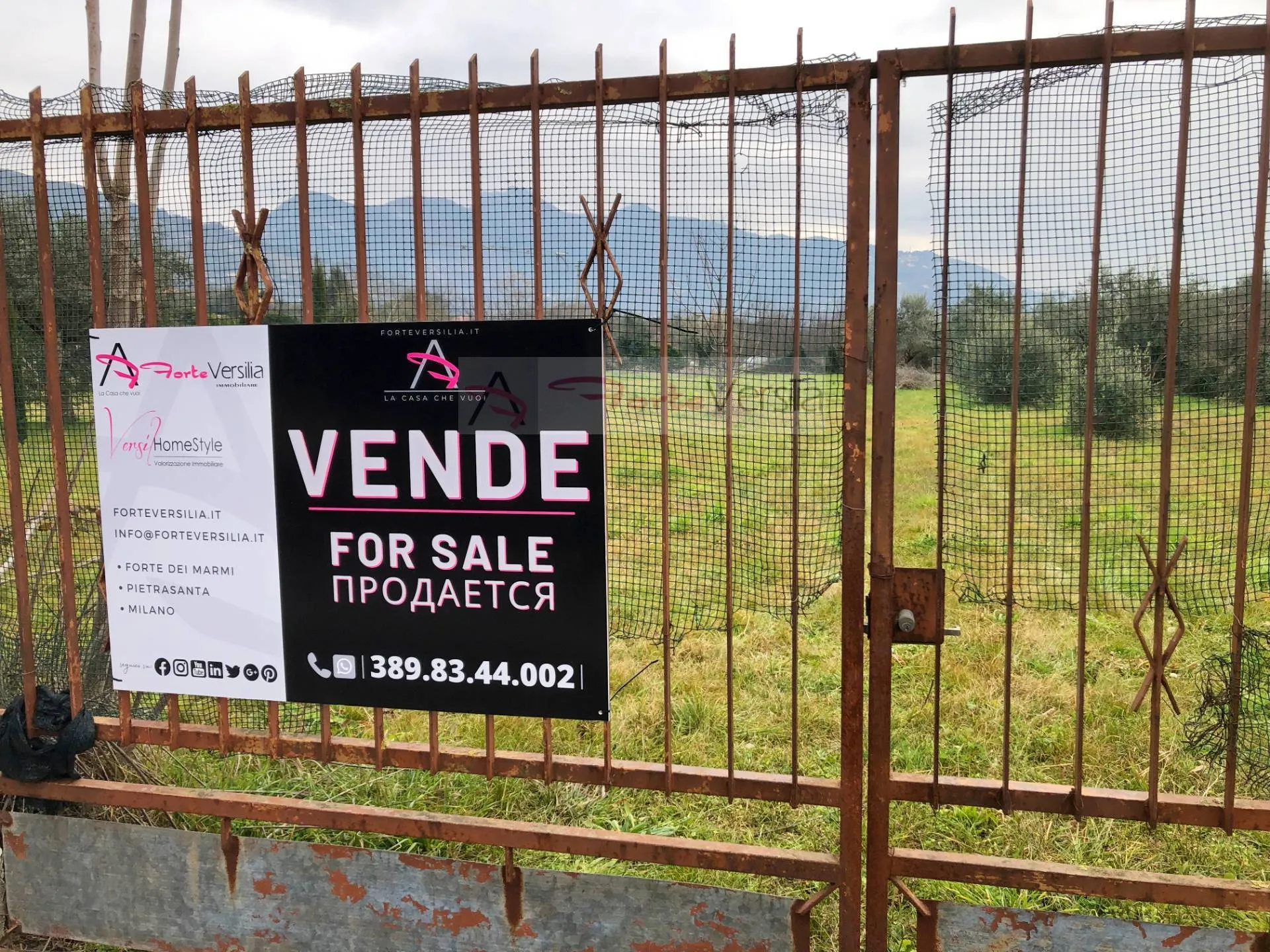 Immagine per Terreno Agricolo in vendita a Pietrasanta