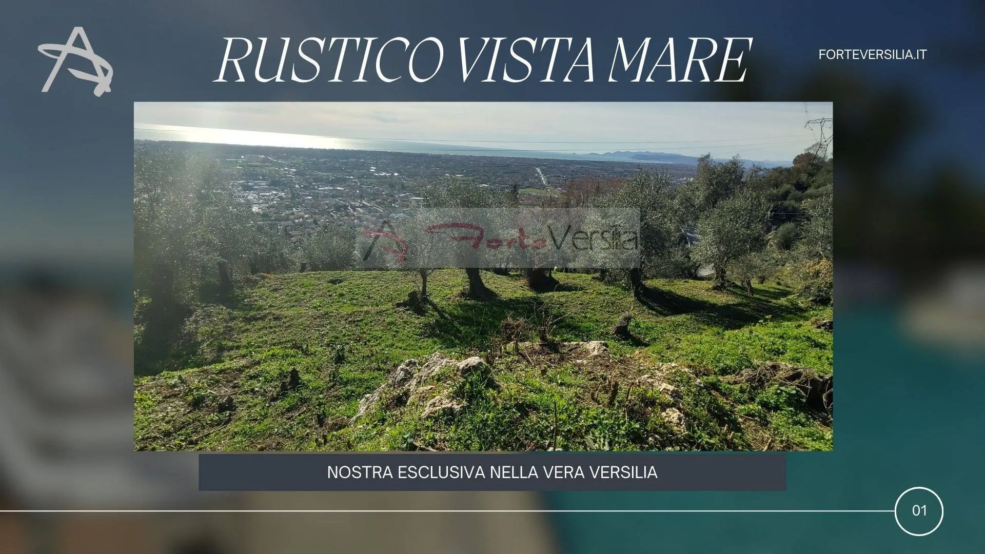 Immagine per Rustico/Casale in vendita a Pietrasanta