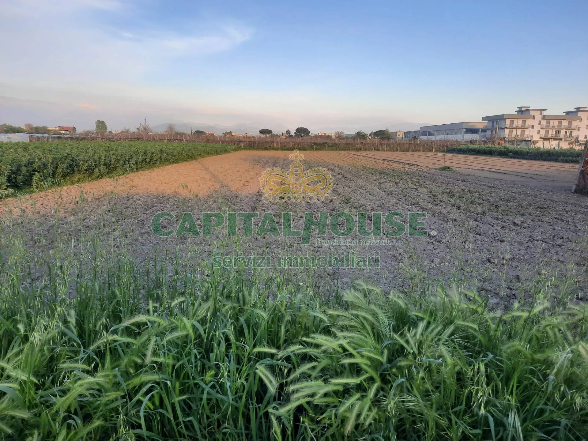 Immagine per Terreno Agricolo in vendita a Mariglianella