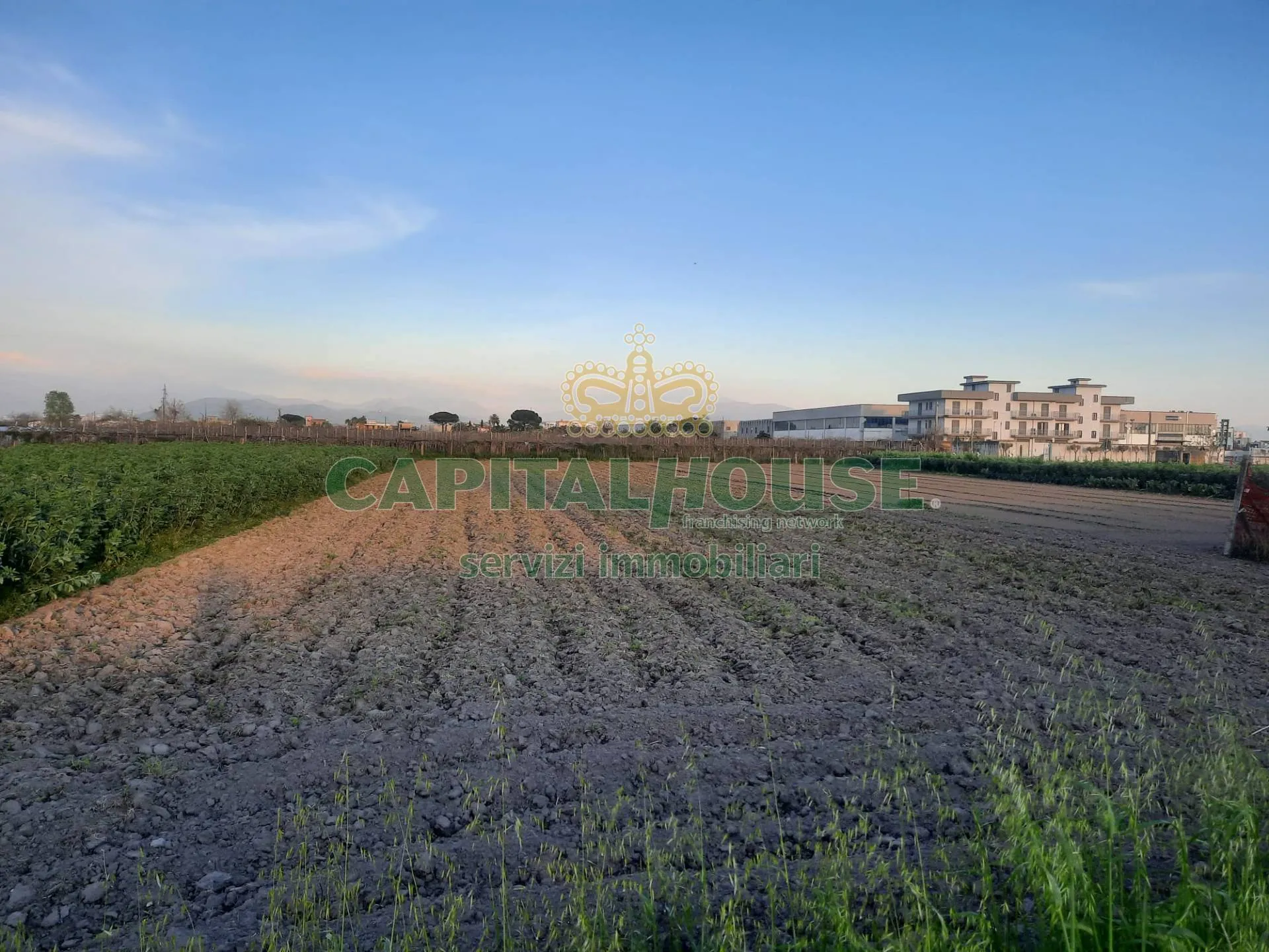Immagine per Terreno Agricolo in vendita a Mariglianella
