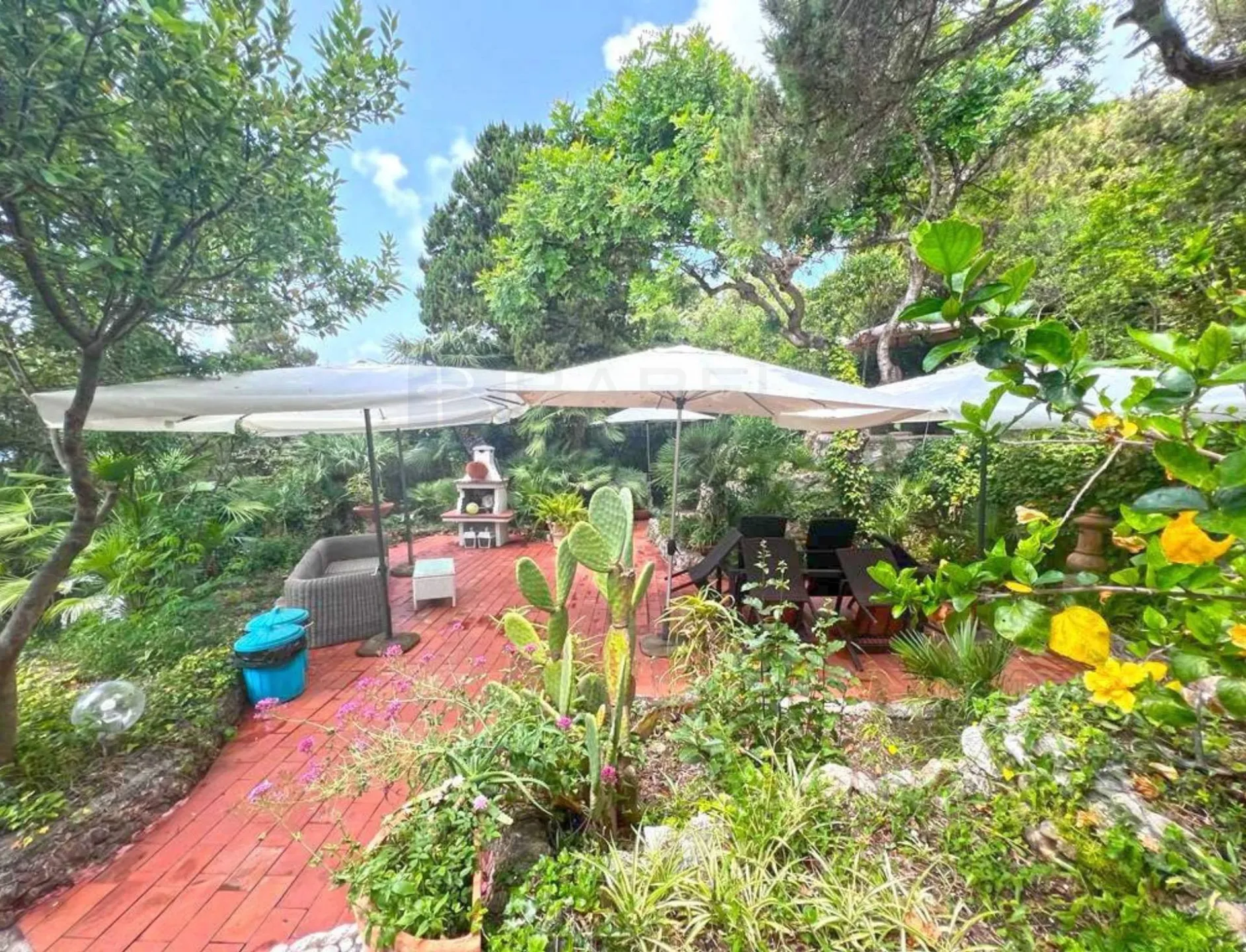 Immagine per Villa in vendita a San Felice Circeo Via del Faro 