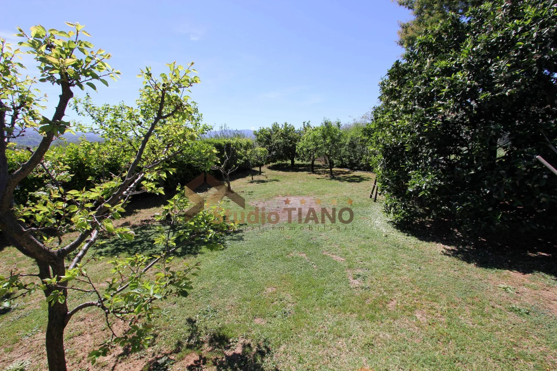 Immagine per Villa in vendita a Montalto Uffugo VIA CATANIA