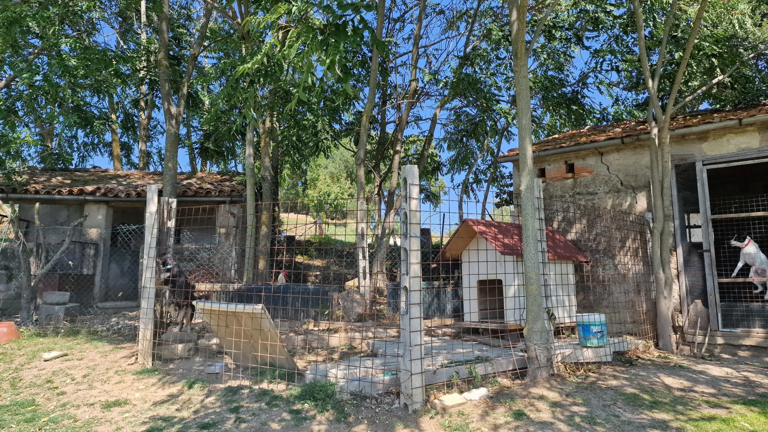Immagine per Porzione di casa in vendita a Montecastrilli via Valle Molina