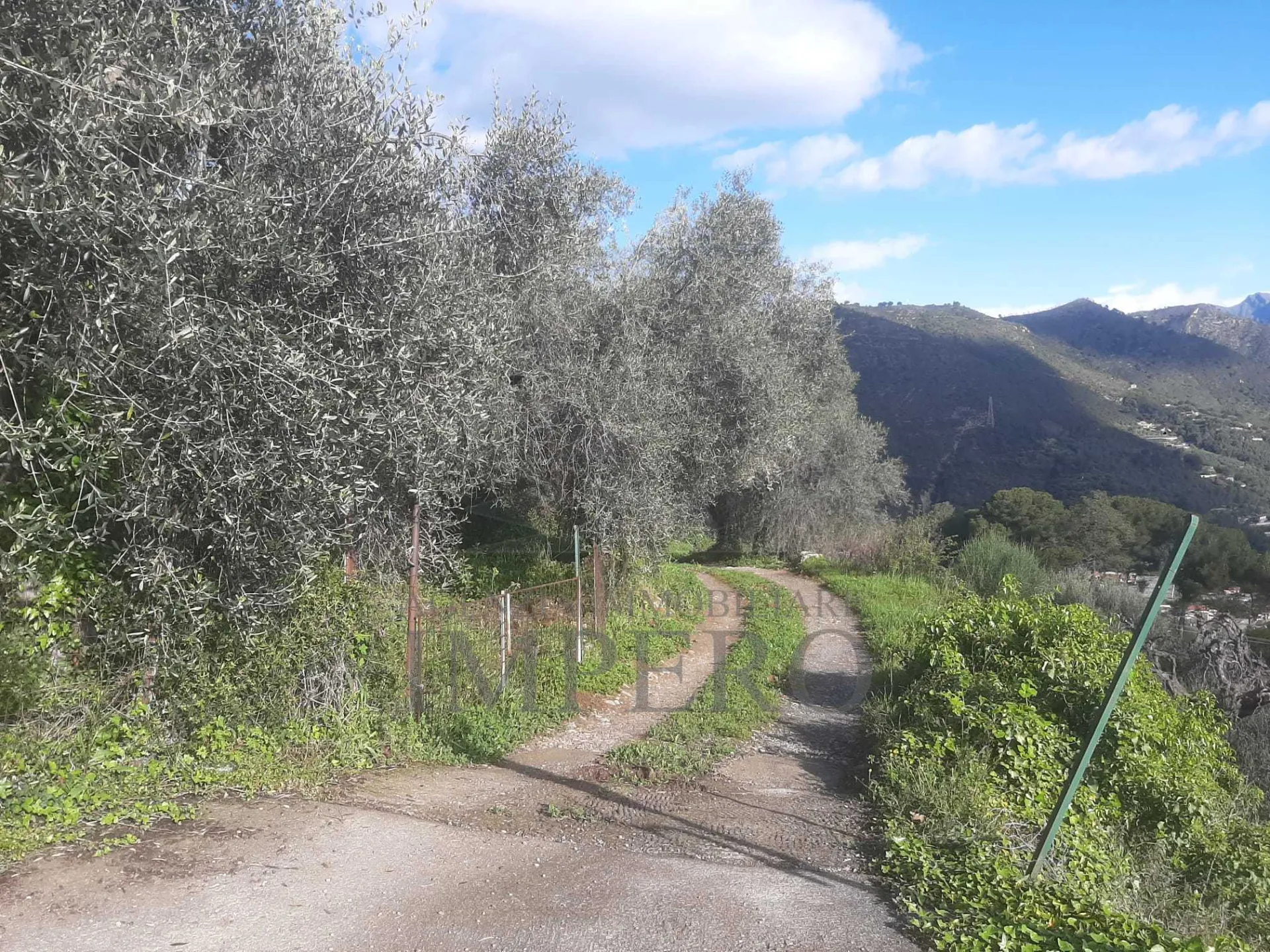Immagine per Terreno Agricolo in vendita a Ventimiglia via Ciappin