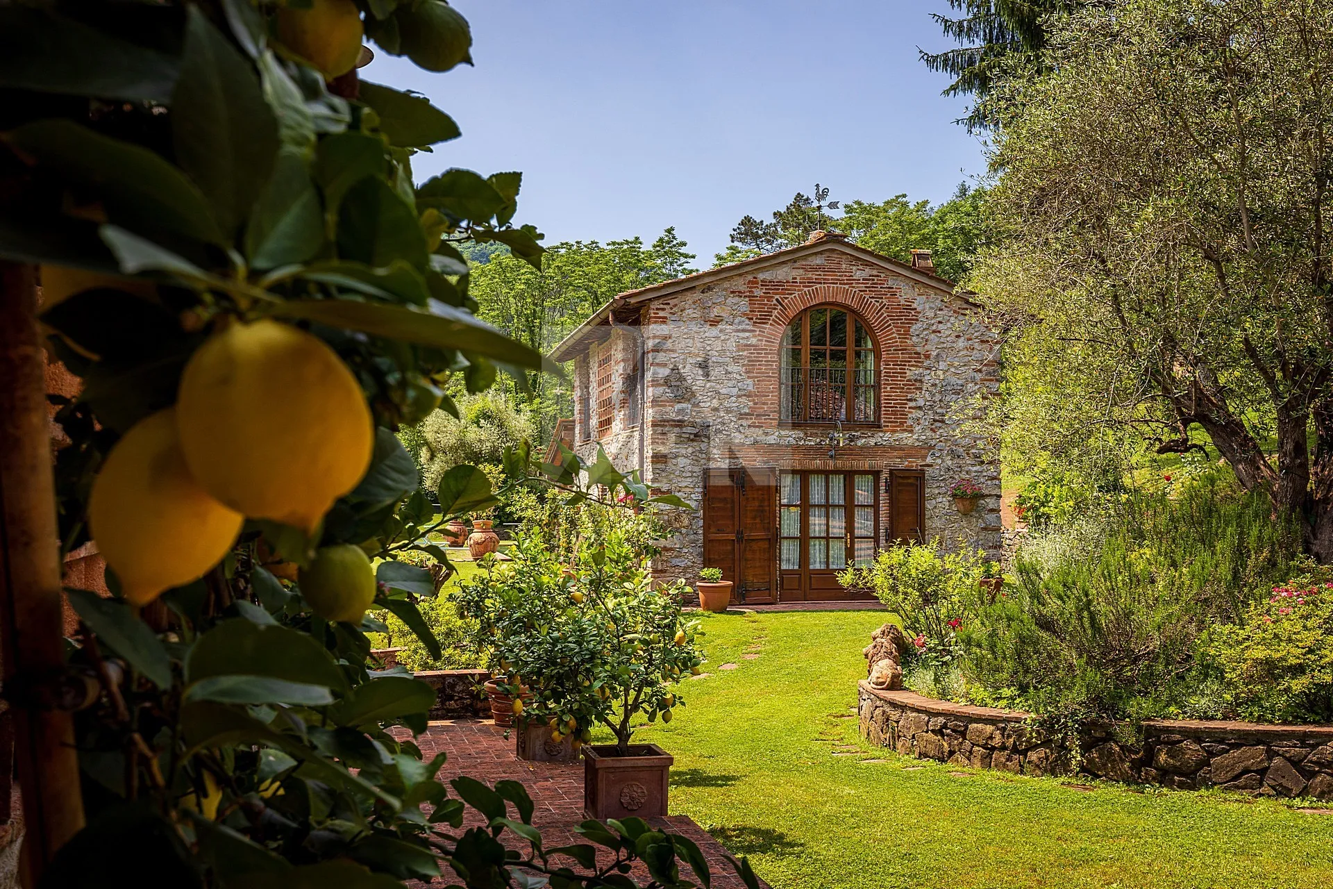 Immagine per Rustico in vendita a Lucca via Borgo Giannotti