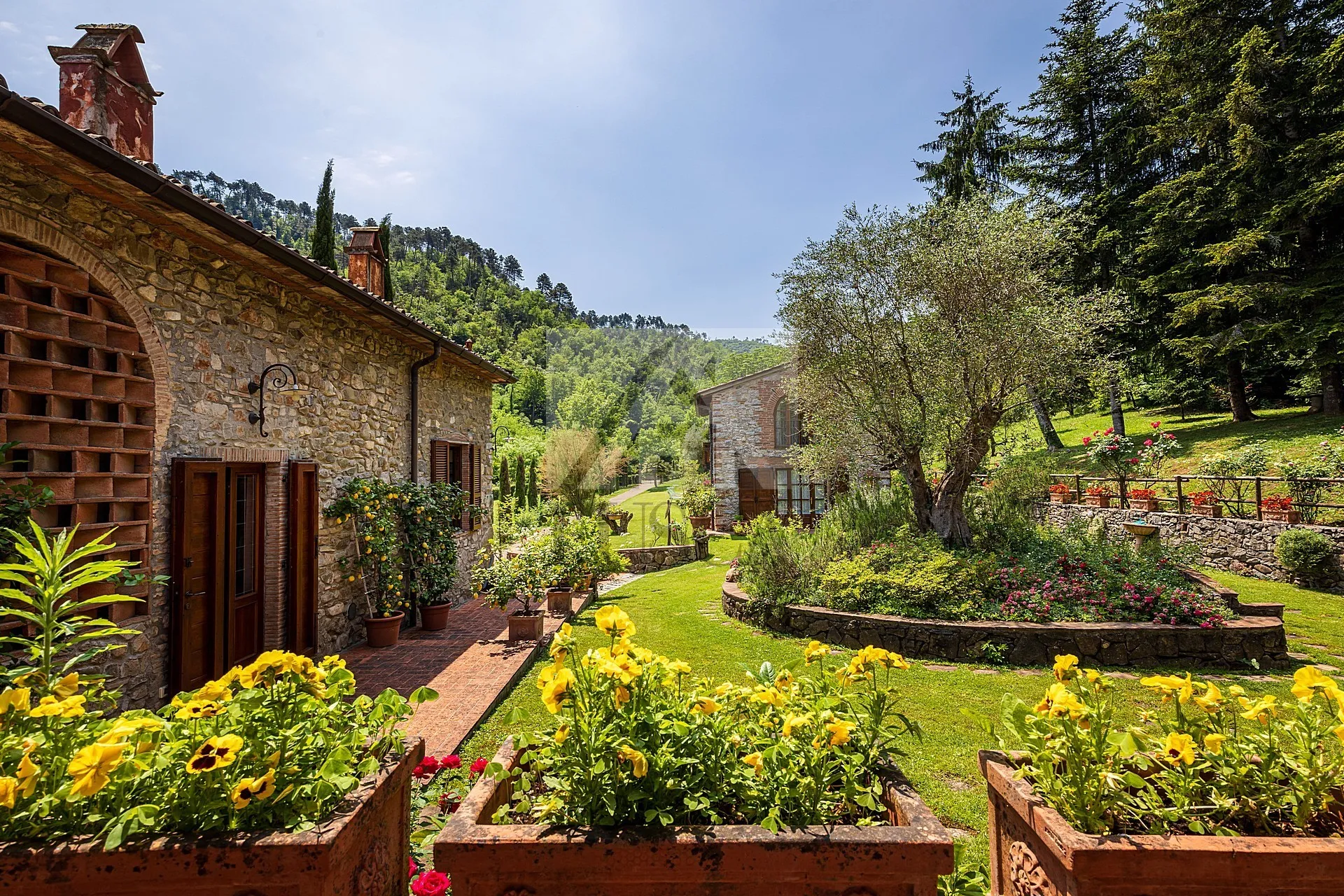 Immagine per Rustico in vendita a Lucca via Borgo Giannotti