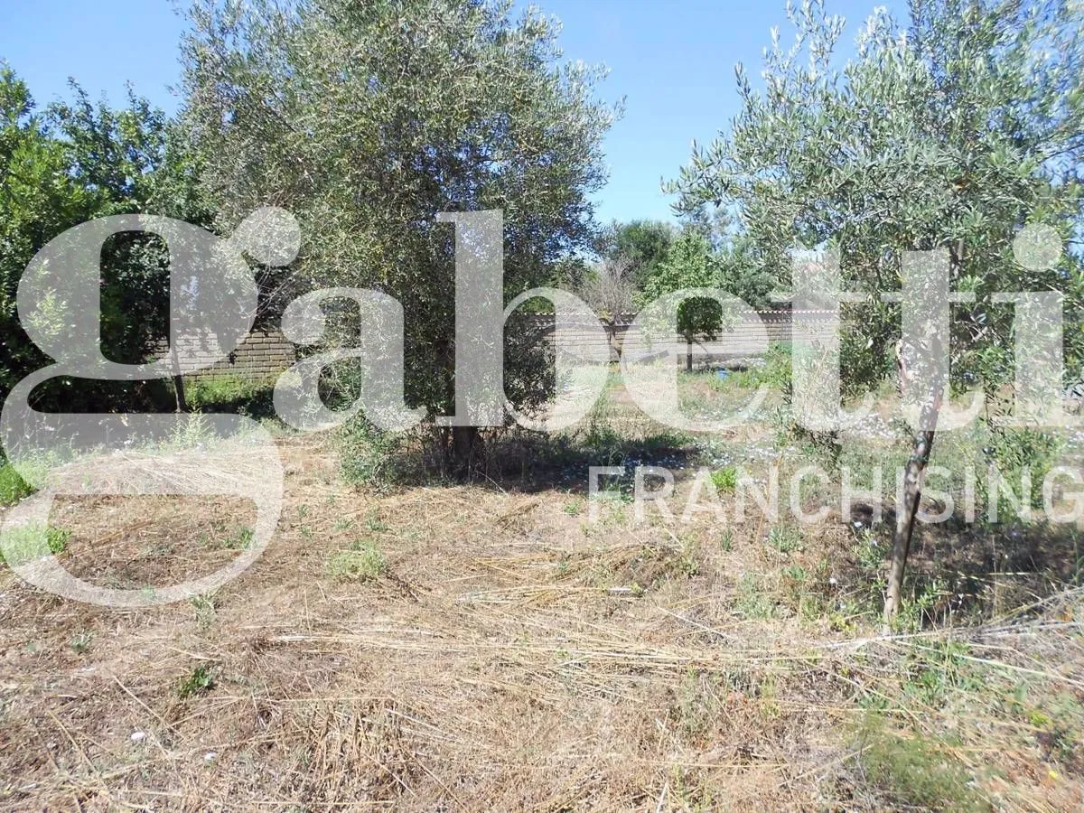 Immagine per Terreno Agricolo in vendita a Ladispoli via Dei Fiori 4