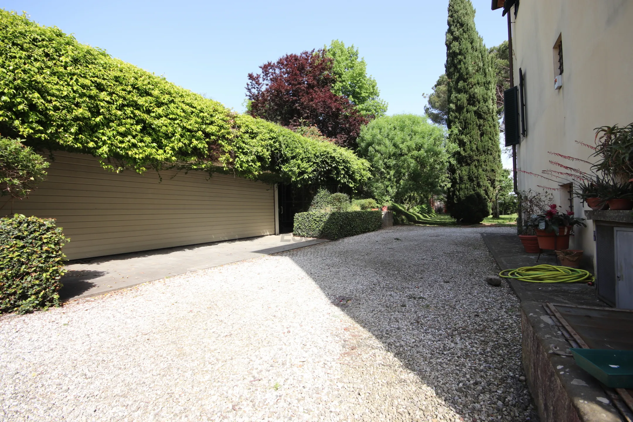 Immagine per Villa in affitto a Lucca via Di Villa Mansi 212