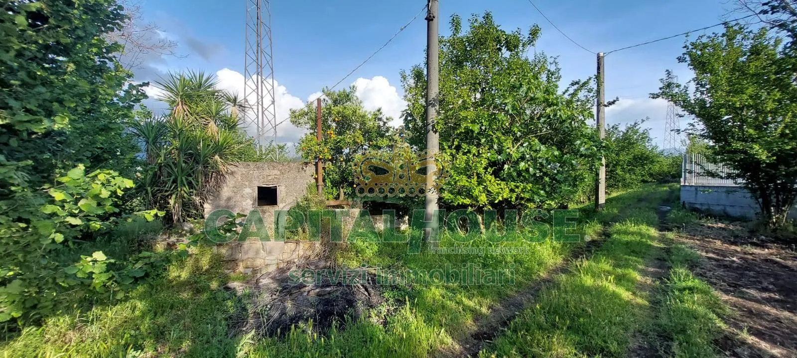 Immagine per Terreno Agricolo in vendita a Striano
