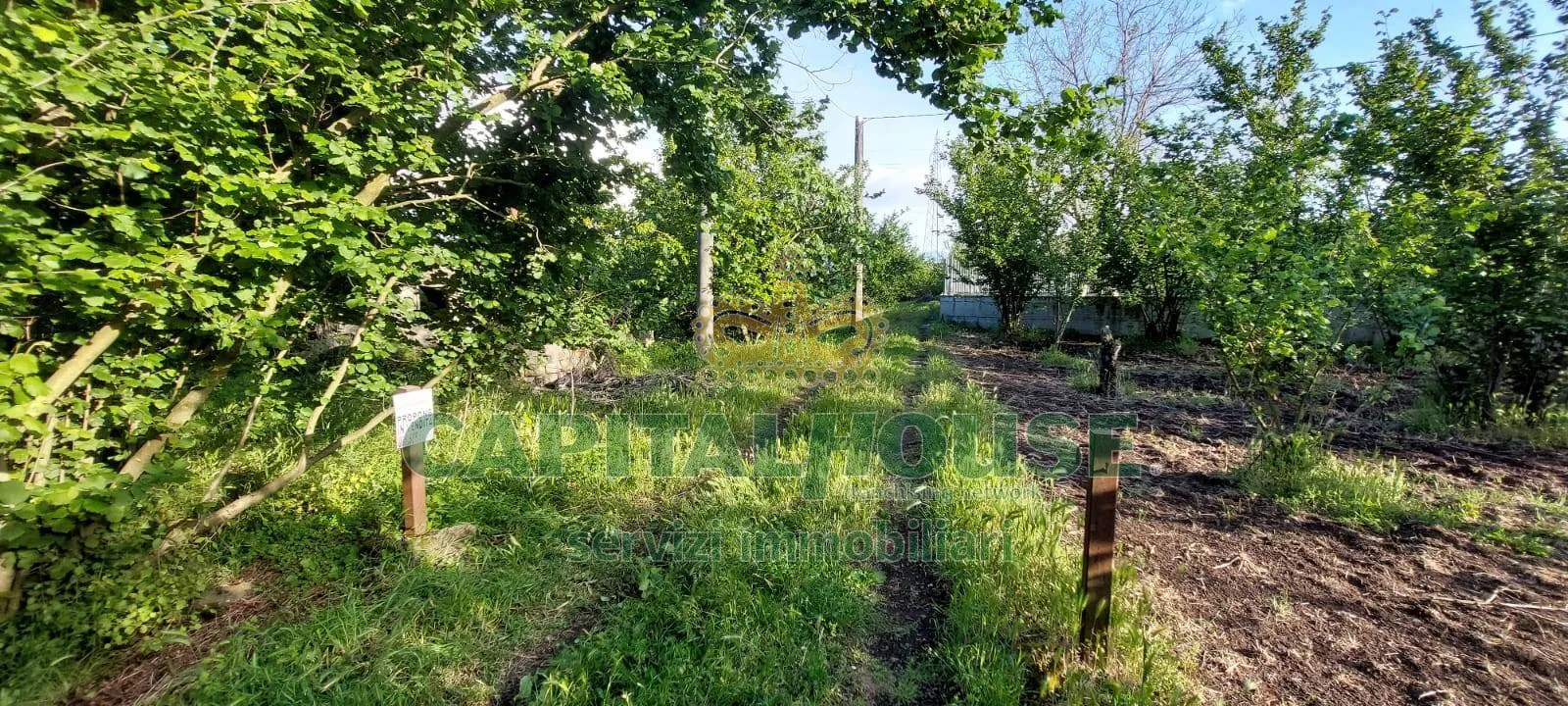 Immagine per Terreno Agricolo in vendita a Striano