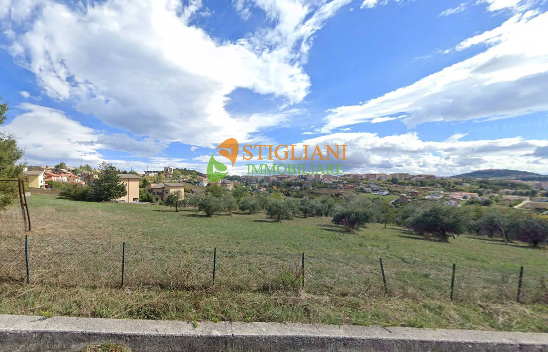 Immagine per Terreno Agricolo in vendita a Campobasso Contrada Colle delle Api 