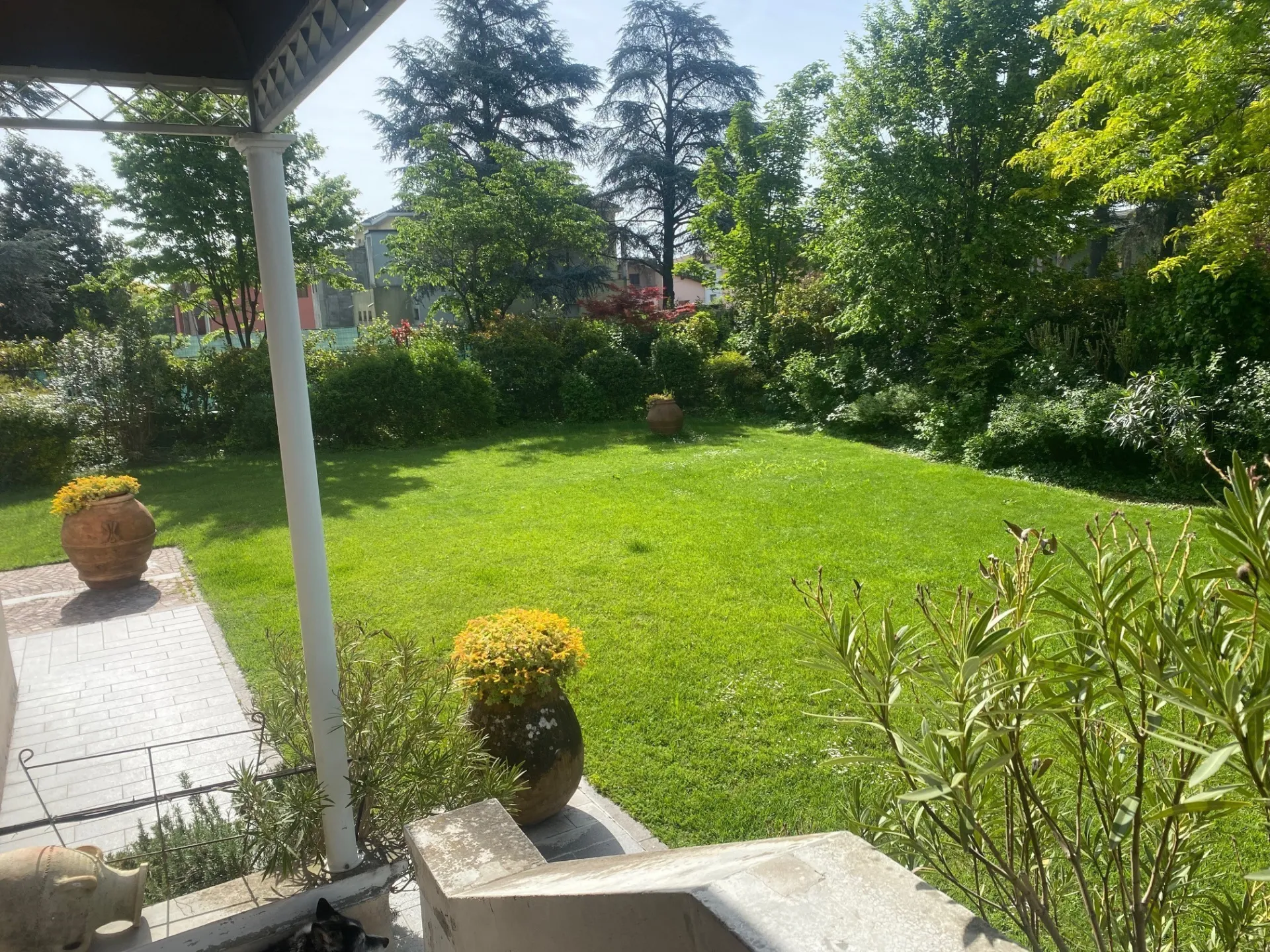 Immagine per Villa in vendita a Noceto viale Delle Rimembranze 3