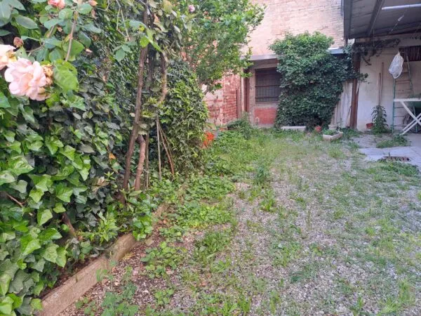 Terratetto via Borgo Costa 4, Montechiarugolo