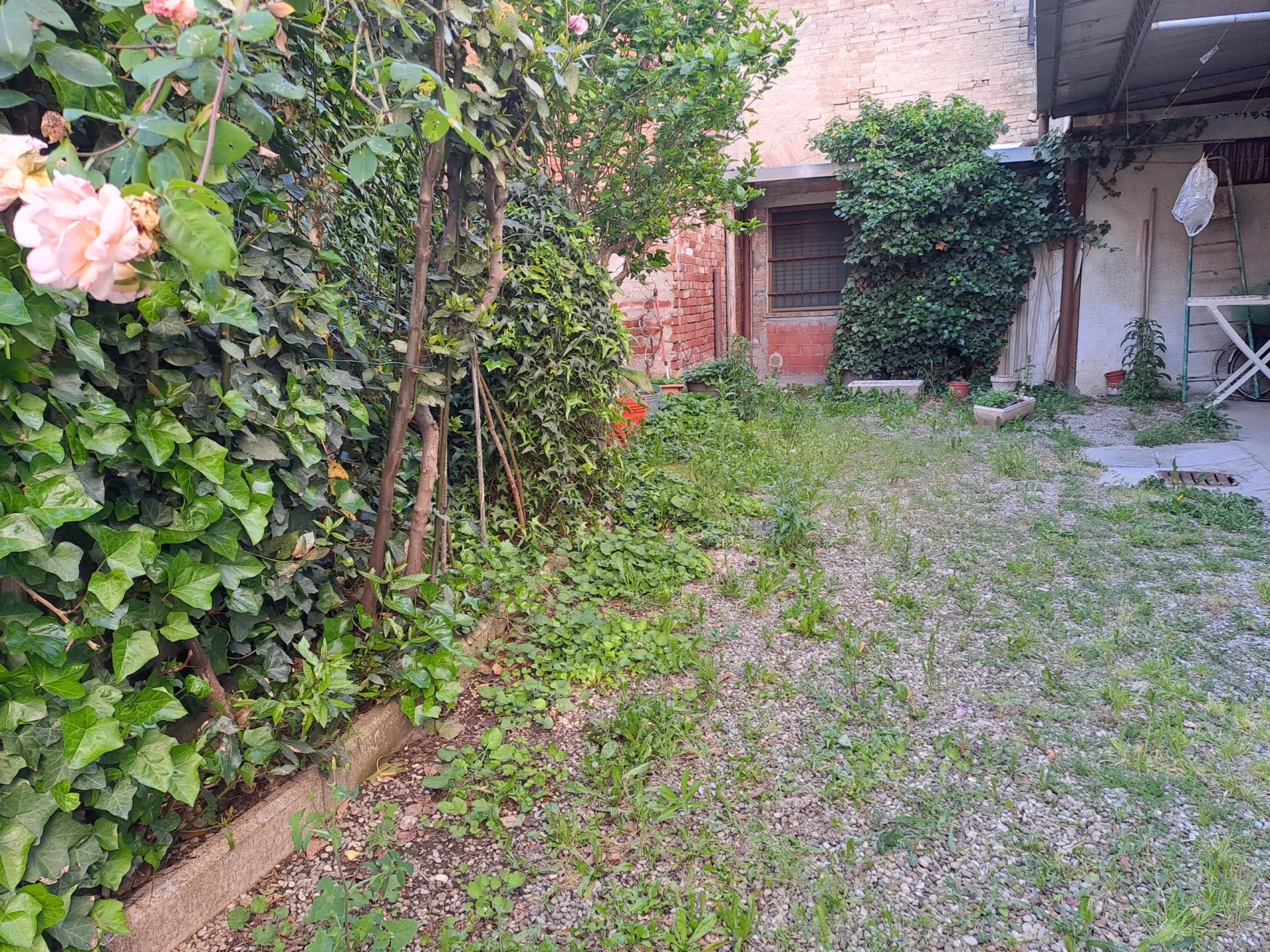Immagine per Terratetto in vendita a Montechiarugolo via Borgo Costa 4