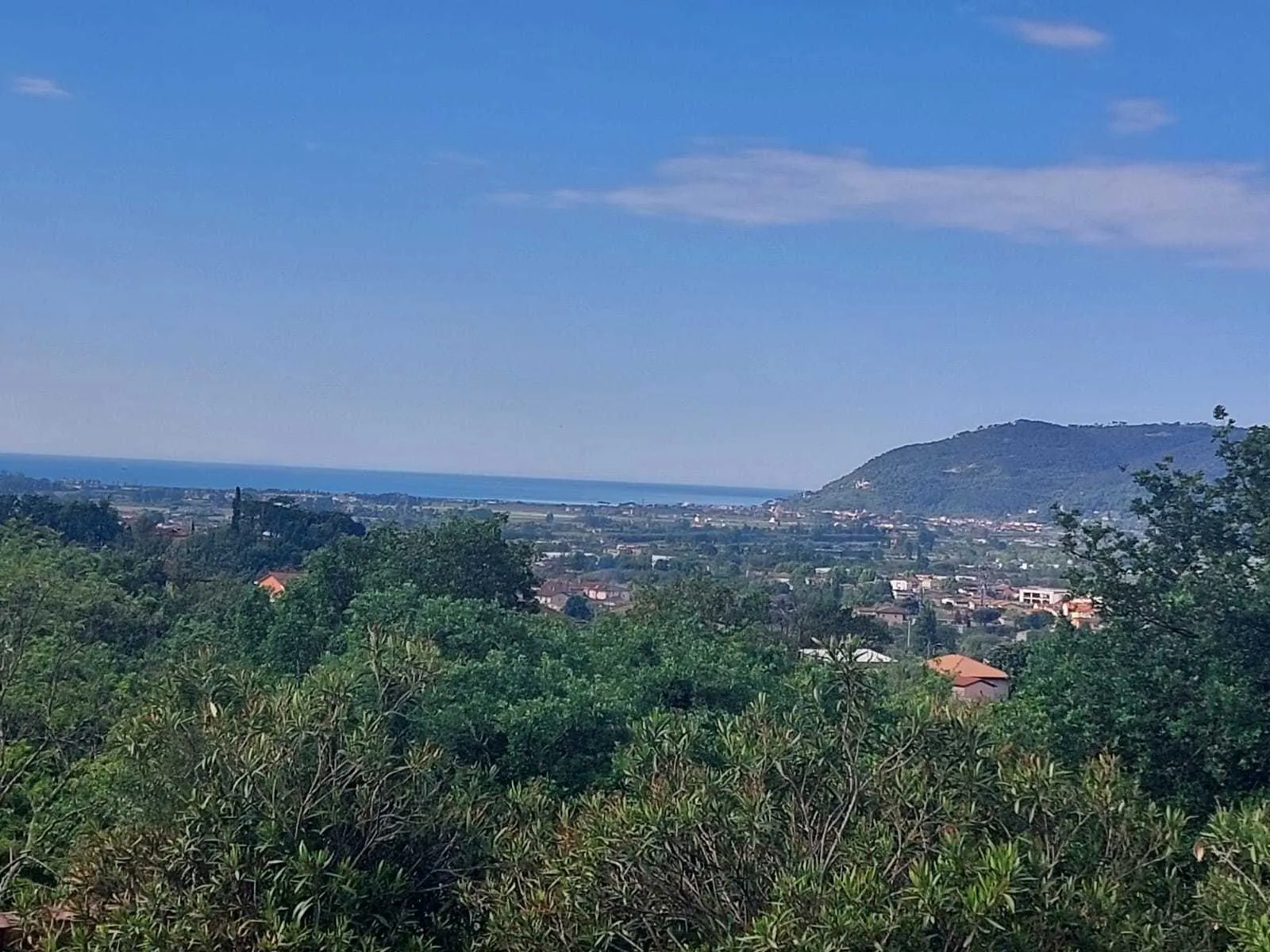 Immagine per Villa in vendita a Castelnuovo Magra via Aglione 3