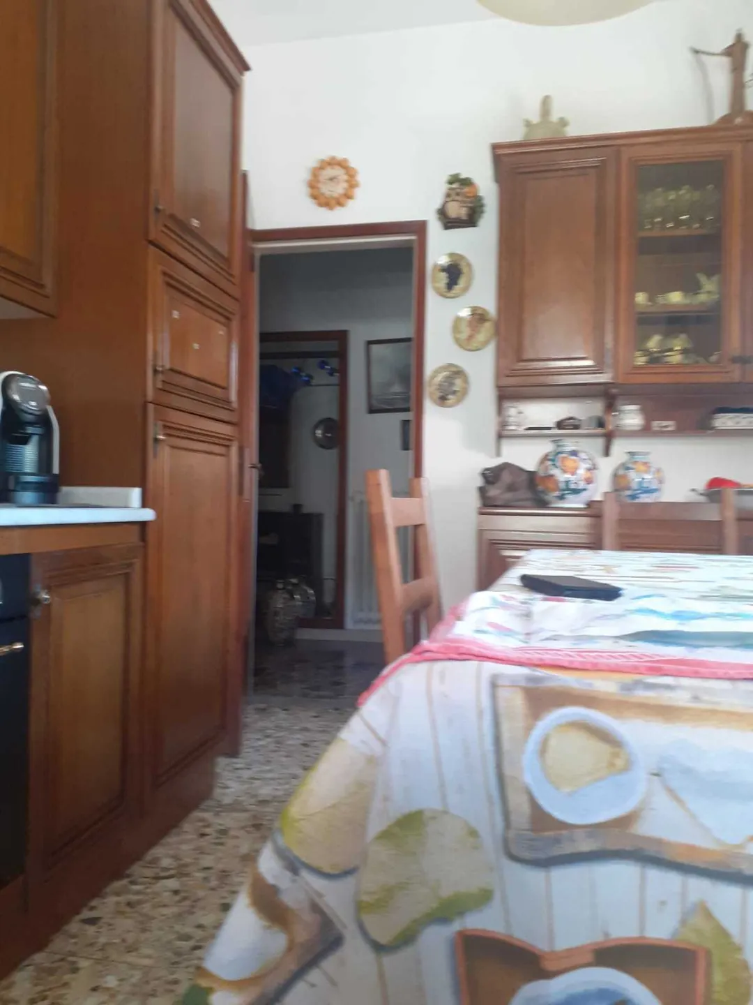 Immagine per casa semindipendente in vendita a Carrara viale Galileo Galilei 1261