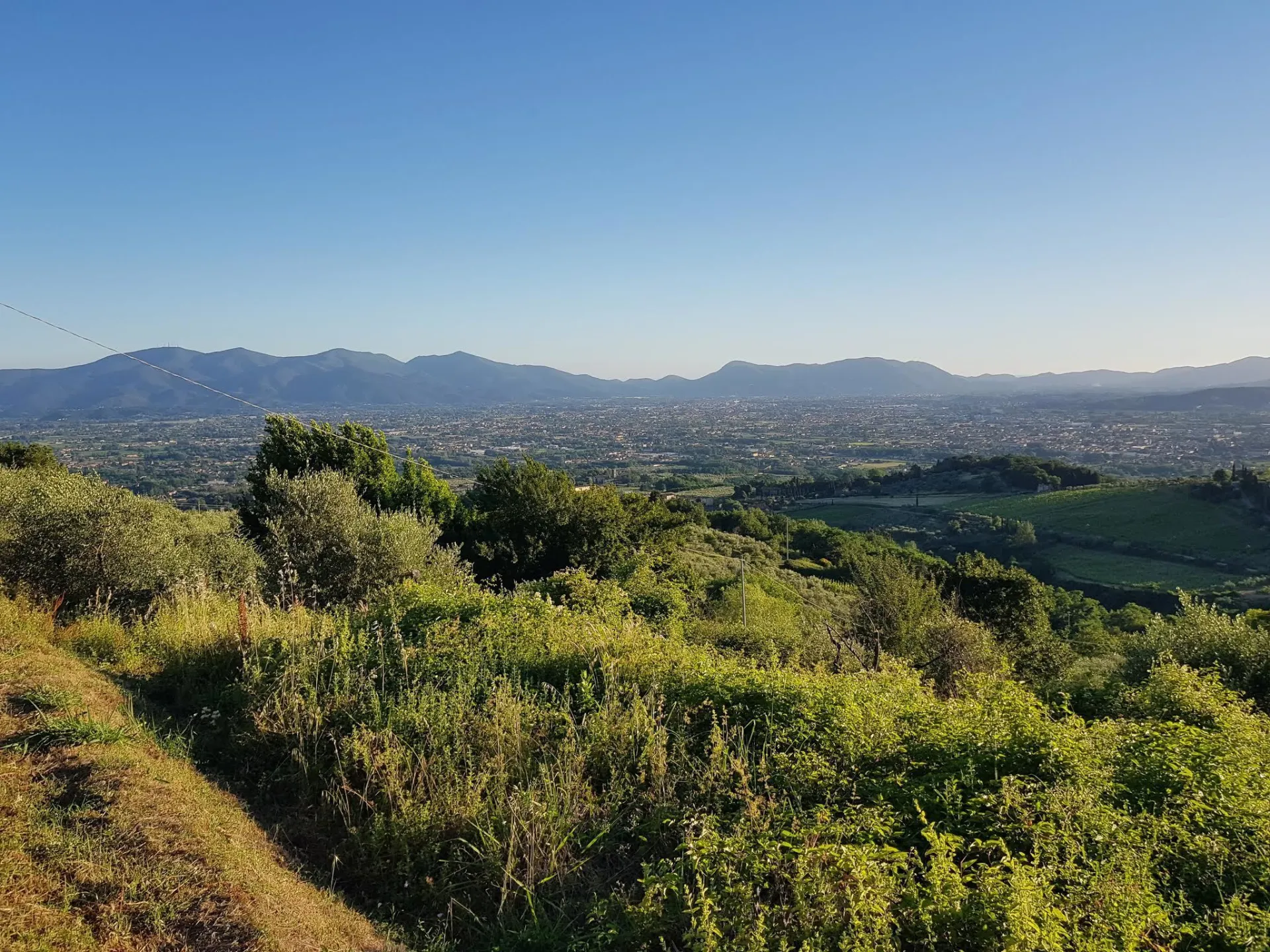 Immagine per Rustico in vendita a Capannori via Di Matraia