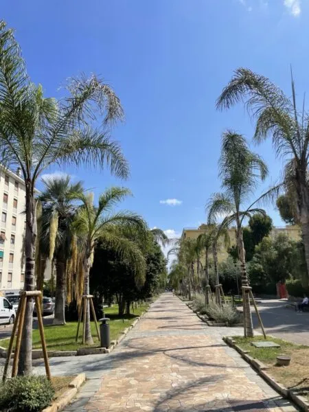 Quadrilocale viale Delle Palme, Taggia