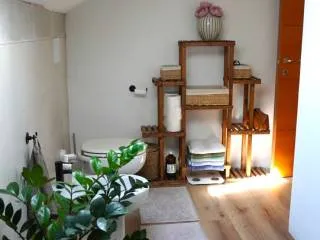 Appartamento via Giovenale Ancina 37, Regio Parco, Torino
