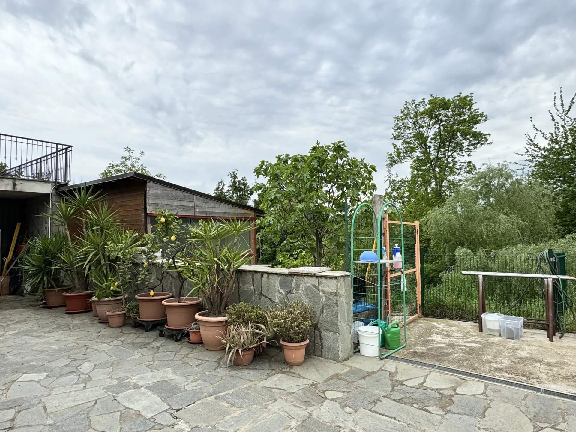 Immagine per Villa in vendita a Givoletto via Vallo