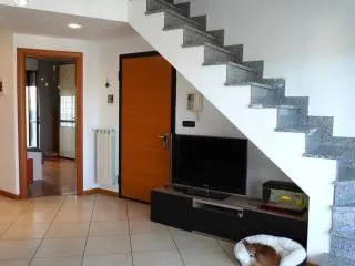Appartamento via Giovenale Ancina 37, Regio Parco, Torino