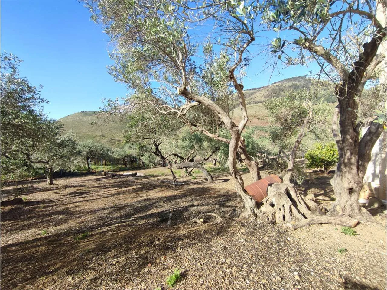 Immagine per Villa in vendita a Misilmeri