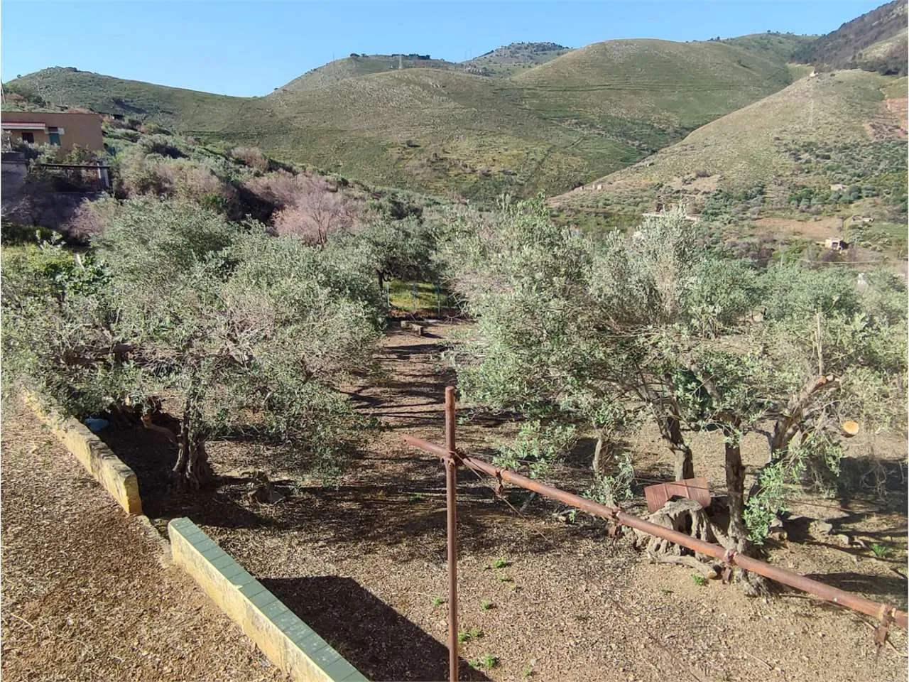 Immagine per Villa in vendita a Misilmeri