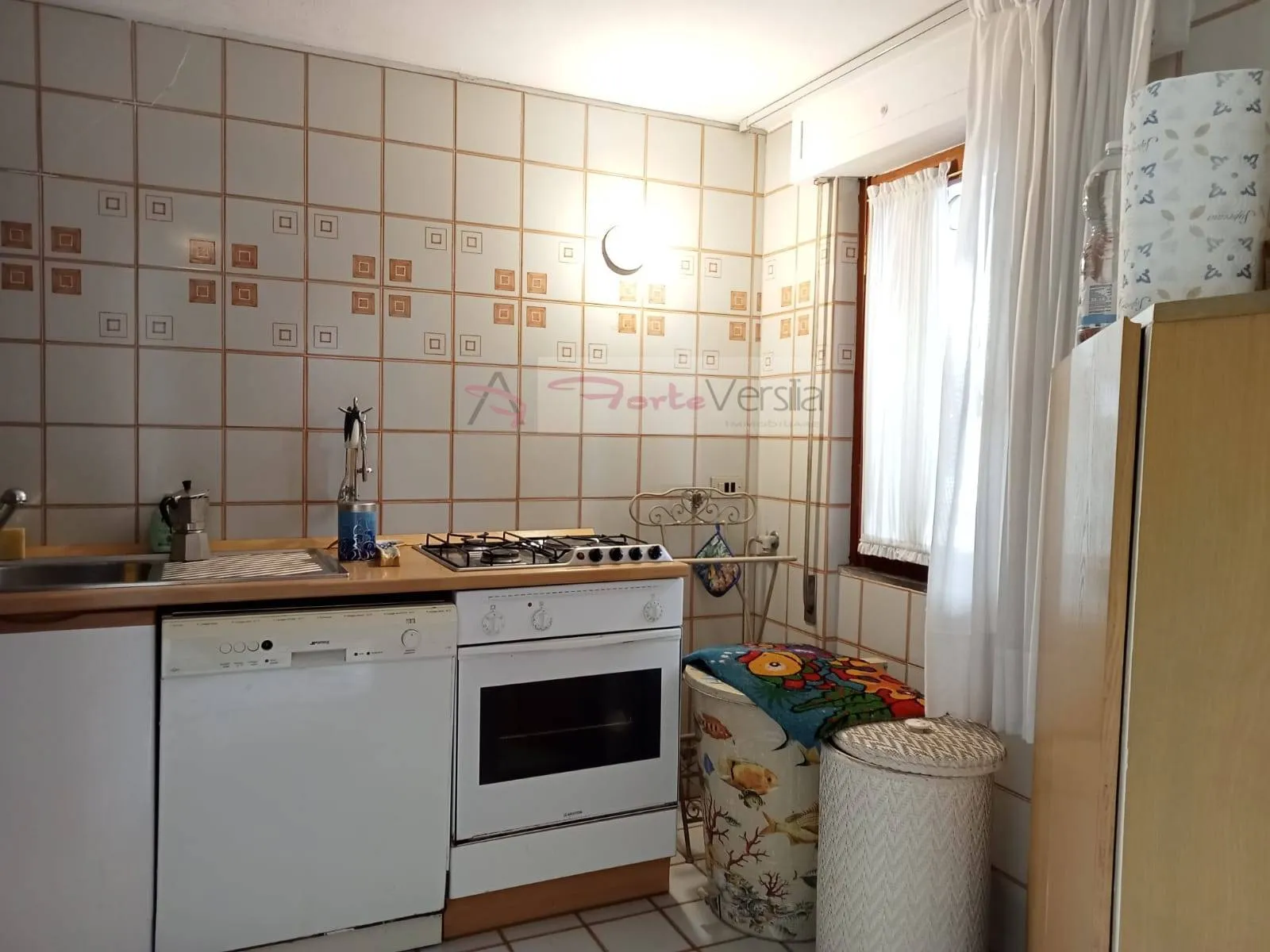 Immagine per Appartamento in vendita a Seravezza