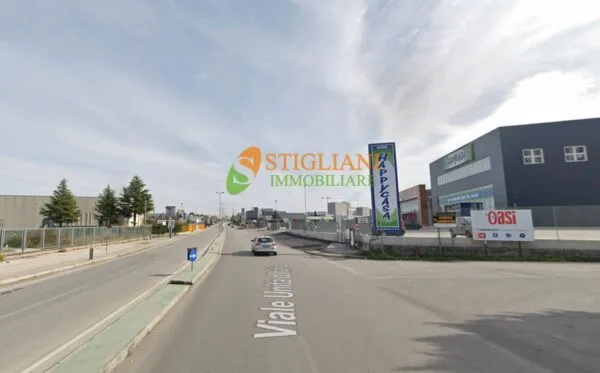 Locale Commerciale Viale Unità D'Italia, Ripalimosani