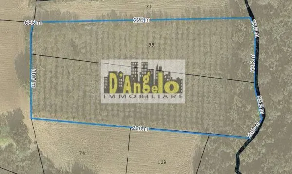 Azienda Agricola via San Lazzaro, Offida