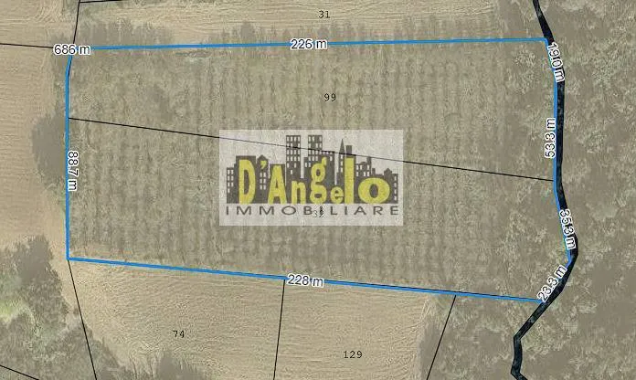 Immagine per Azienda Agricola in vendita a Offida San Lazzaro