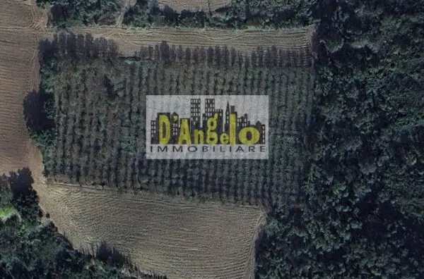 Azienda Agricola via San Lazzaro, Offida