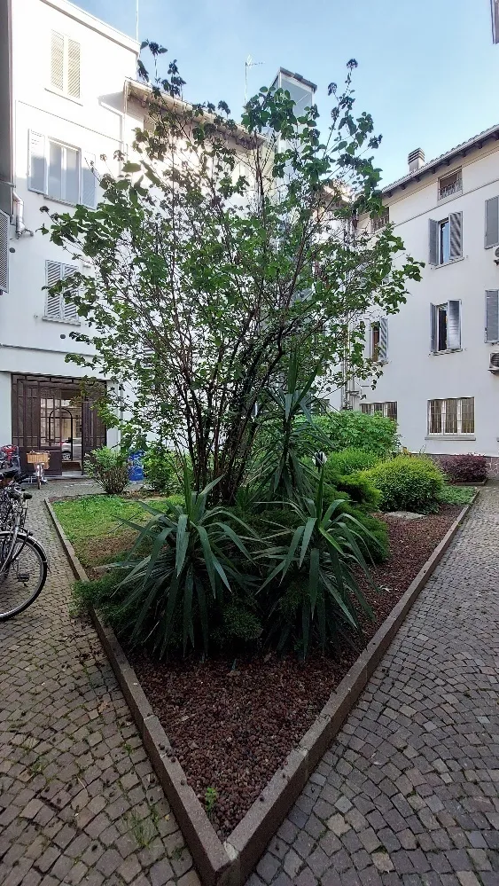 Immagine per Trilocale in vendita a Parma via Borgo Del Parmigianino