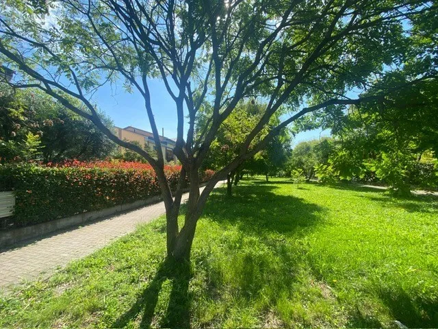 Immagine per Trilocale in vendita a Noceto 1
