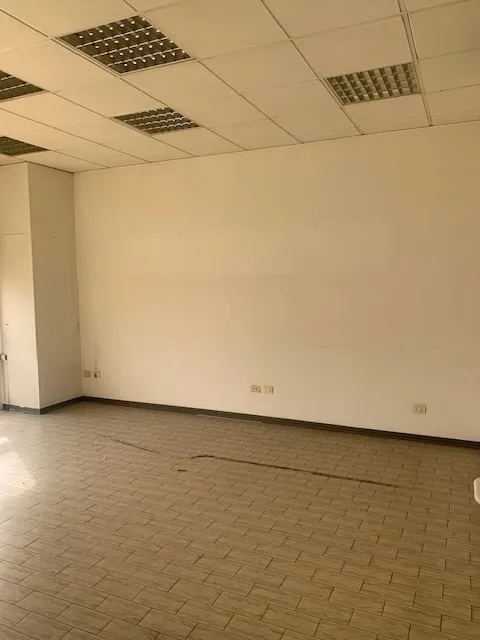 Immagine per Capannone in affitto a Parma via Mantova