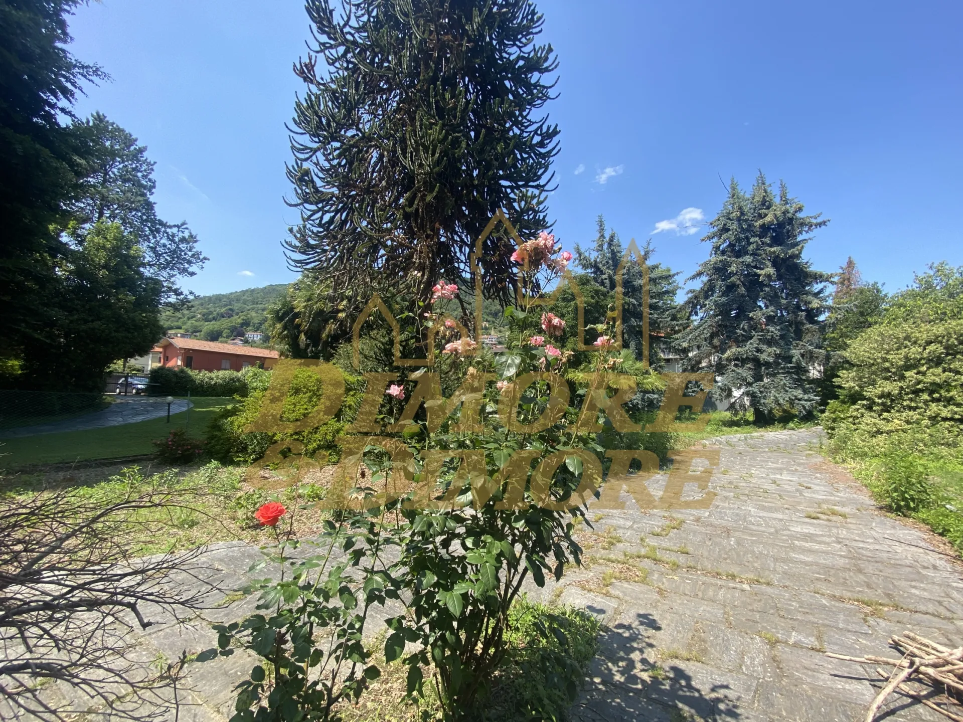 Immagine per Villa in vendita a Verbania via Crocetta 37