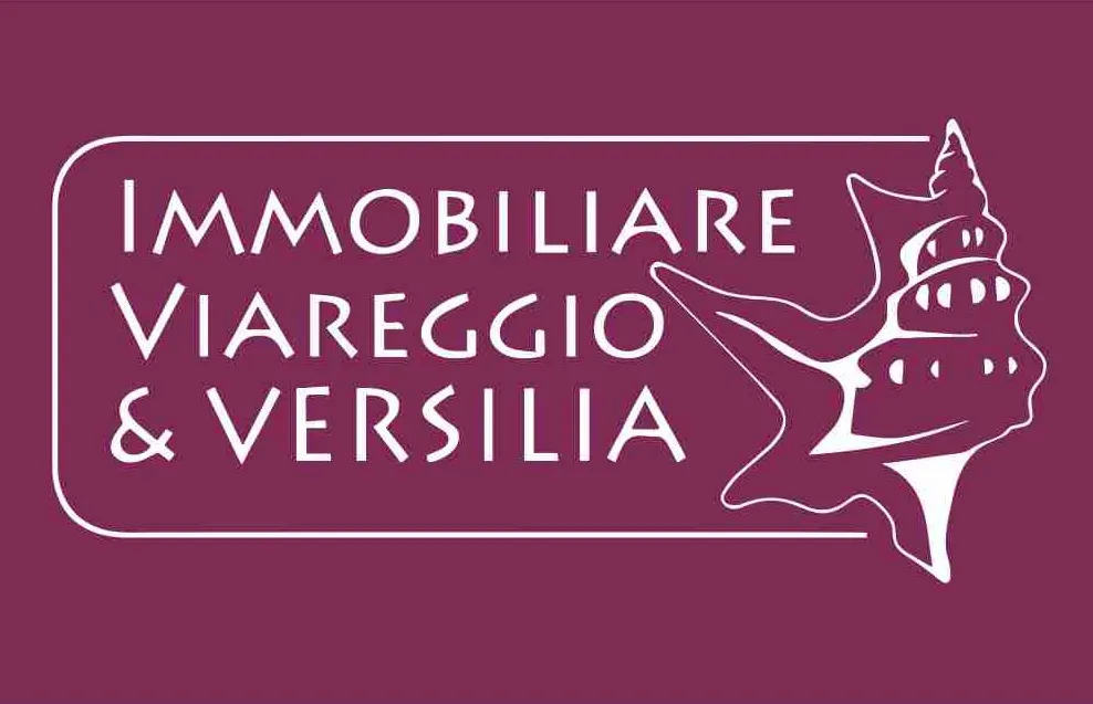 Immagine per Magazzino in vendita a Camaiore via dei Metalmeccanici