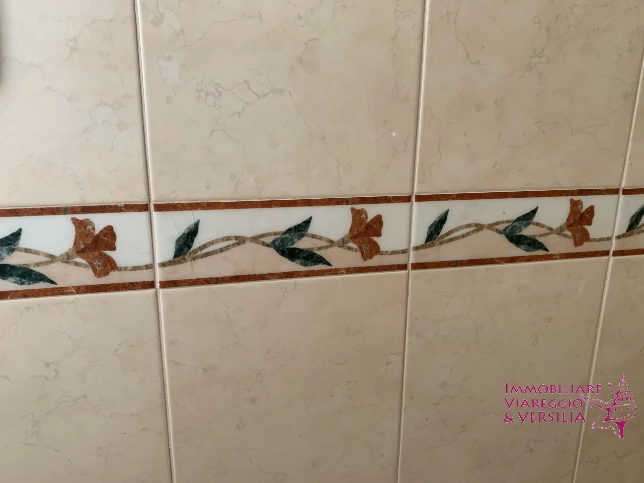 Immagine per Appartamento in vendita a Camaiore viale Pistelli 