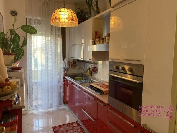 Appartamento viale Pistelli, Camaiore